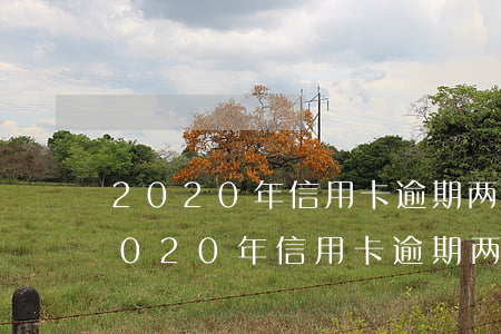 2020年信用卡逾期两万多久会被起诉，2020年信用卡逾期两万元，多长时间会面临被起诉的风险？