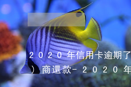 2020年信用卡逾期了還可以協(xié)商還款-2020年信用卡逾期了還可以協(xié)商還款嗎