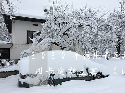 2020年信用卡逾期人名單(2020年信用卡逾期立案標(biāo)準(zhǔn))