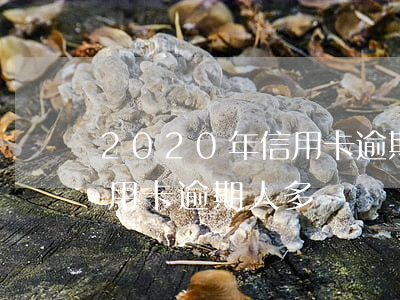 2020年信用卡逾期人多嗎(2020年信用卡逾期人多嗎)