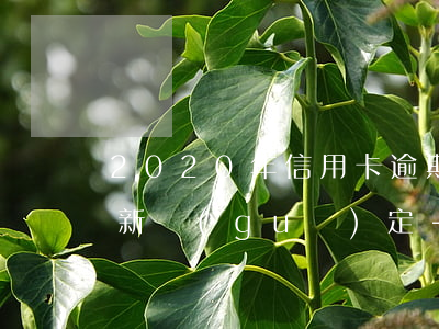 2020年信用卡逾期協(xié)商還款新規(guī)定-2020年信用卡逾期協(xié)商還款新規(guī)定是什么