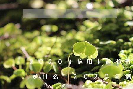 2020年信用卡逾期國(guó)家政策是什么-2020年信用卡逾期國(guó)家政策是什么呢