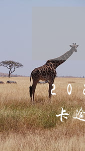 2020年信用卡逾期多少(2020年信用卡逾期立案標(biāo)準(zhǔn))