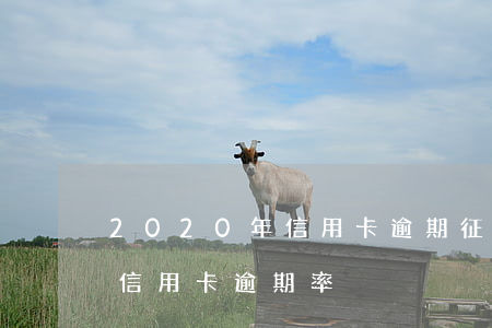 2020年信用卡逾期征信(2020年銀行信用卡逾期率)