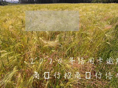 2020年信用卡逾期新規(guī)定招商銀行（招商銀行信用卡逾期特殊處理）