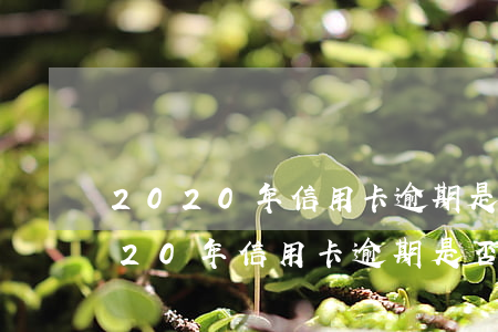2020年信用卡逾期是否不上征信-2020年信用卡逾期是否不上征信了