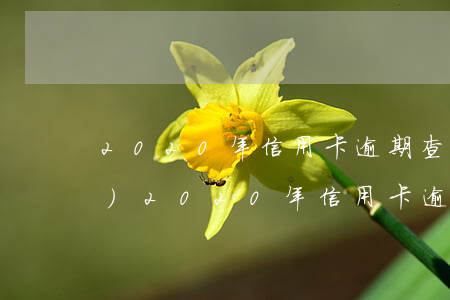 2020年信用卡逾期查封房產(chǎn) 2020年信用卡逾期查封房產(chǎn)了