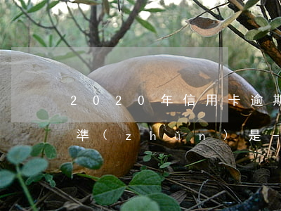 2020年信用卡逾期減免標(biāo)準(zhǔn)是-2020年信用卡逾期減免標(biāo)準(zhǔn)是多少