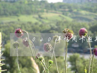 2020年信用卡逾期減免標準詳解
