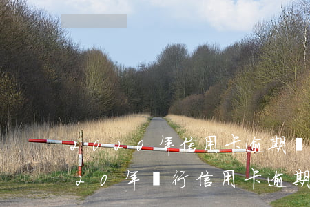 2020年信用卡逾期結(jié)清(2020年銀行信用卡逾期總額)