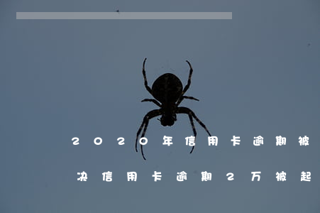 2020年信用卡逾期被起诉立案后怎么解决（信用卡逾期2万被起诉立案后怎么解决）