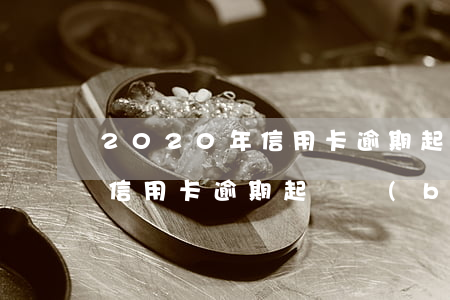 2020年信用卡逾期起訴名單(2020年信用卡逾期起訴標(biāo)準(zhǔn))