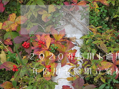 2020年信用卡逾期透支名单-2020年信用卡逾期立案标准
