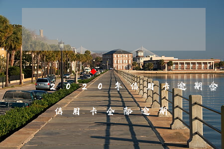 2020年信用卡逾期金額(2020年所有信用卡全部逾期)