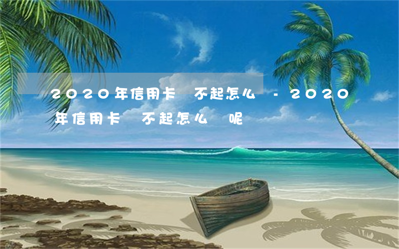 2020 年信用卡還不起怎么辦-2020 年信用卡還不起怎么辦呢