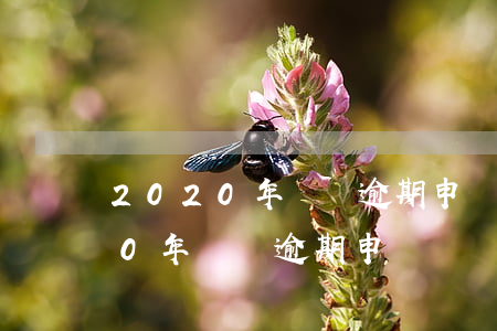 2020年個稅逾期申報會罰款嗎-2020年個稅逾期申報會罰款嗎怎么處理