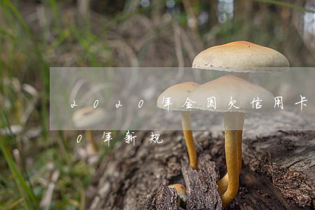 2020年全国欠信用卡网贷(欠网贷2020年新规)