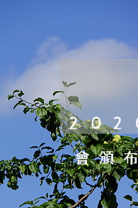 2020年兩會頒布退休年齡(2020年兩會頒布退休年齡靈活)