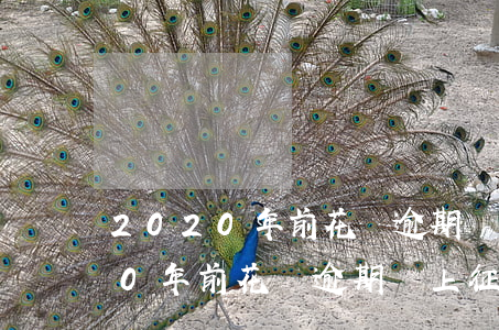 2020年前花唄逾期會上征信嗎-2020年前花唄逾期會上征信嗎知乎