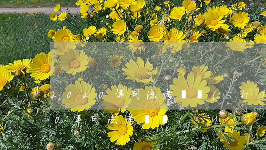 2020年司法考試時(shí)間(2020年司法考試時(shí)間推遲)