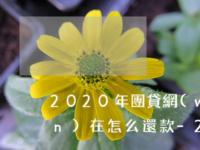2020年團貸網(wǎng)現(xiàn)在怎么還款-2020年團貸網(wǎng)現(xiàn)在怎么還款了