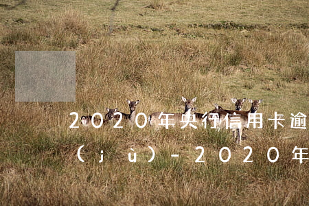 2020年央行信用卡逾期數(shù)據(jù)-2020年央行信用卡逾期數(shù)據(jù)查詢