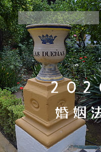 2020年婚姻法有哪些改動(dòng)(婚姻法典2020年改)