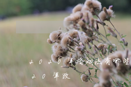 2020年婚姻法有哪些改動(婚姻法典2020年改)