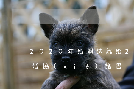 2020年婚姻法離婚(2020年婚姻法離婚協(xié)議書)