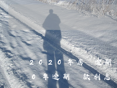 2020年房貸逾期規(guī)模(2020年逾期貸款利息)