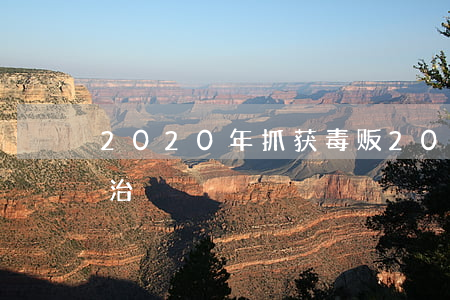 2020年抓获毒贩(2020年抓获毒贩长治)