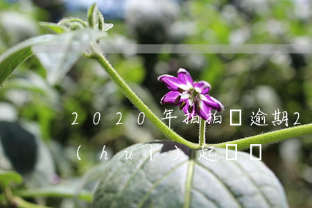 2020年拍拍貸逾期(2020年拍拍貸會(huì)起訴嗎)