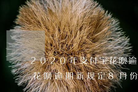 2020年支付宝花呗逾期多吗-2020花呗逾期新规定8月份