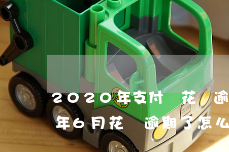 2020年支付寶花唄逾期的后果(2020年6月花唄逾期了怎么辦)