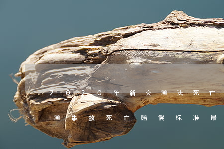 2020年新交通法死亡赔偿(2020年交通事故死亡赔偿标准(最新))