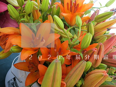 2020年易分期逾期一天還款-