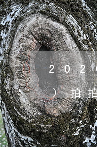 2020年有多少人欠拍拍貸錢(qián)(拍拍貸多少金額起訴2020)