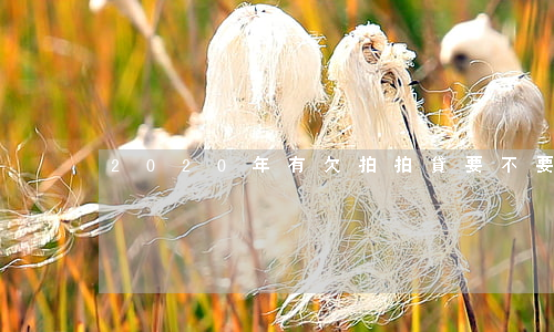 2020年有欠拍拍貸要不要還-