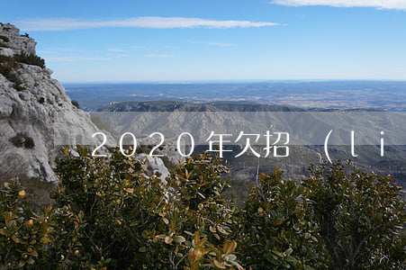 2020年欠招聯(lián)金融錢