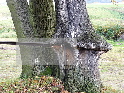 2020年欠網(wǎng)貸不還是否要接電話-2020年欠網(wǎng)貸不還是否要接電話了