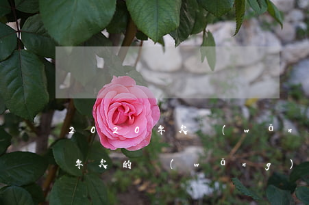 2020年欠網(wǎng)貸交流群(18年欠的網(wǎng)貸現(xiàn)在2020要起訴我)