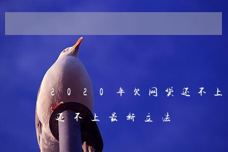 2020年欠网贷还不上(2020欠网贷的还不上最新立法)