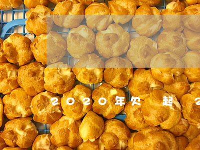 2020年欠錢起訴(2020年欠錢起訴)