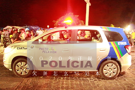 2020年正规欠条怎么写(2020年正规欠条怎么写范本)