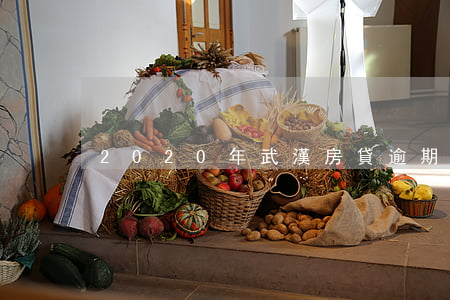 2020年武漢房貸逾期多少人