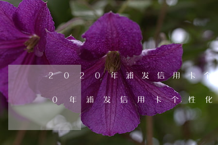 2020年浦发信用卡个性化分期-2020年浦发信用卡个性化分期政策