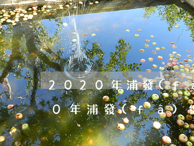 2020年浦發(fā)信用卡逾期(2020年浦發(fā)信用卡逾期)