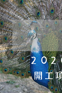 2020年灤平交通事故(灤平縣2020年開工項(xiàng)目)