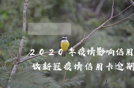 2020年疫情影响信用卡逾期怎么应付催收（新冠疫情信用卡逾期新规定是什么）