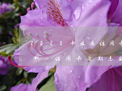 2020年瘟疫信用卡逾期(2020年疫情影響信用卡逾期怎么應(yīng)付催收)